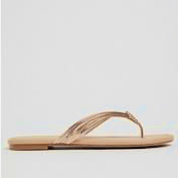 Torrid Metallic Flip Flops - Picture 1 of 4